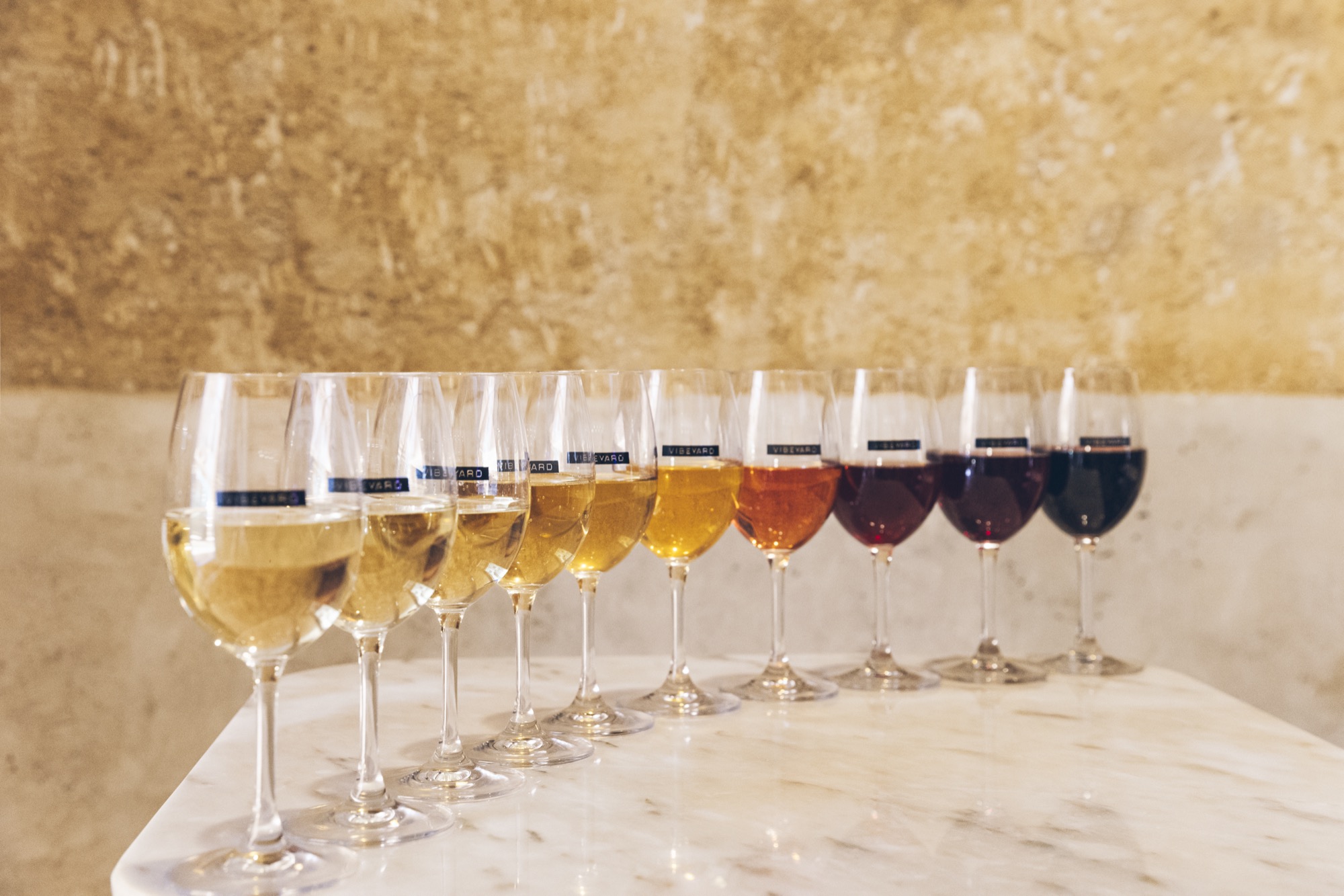 Vibeyard guided wine tasting