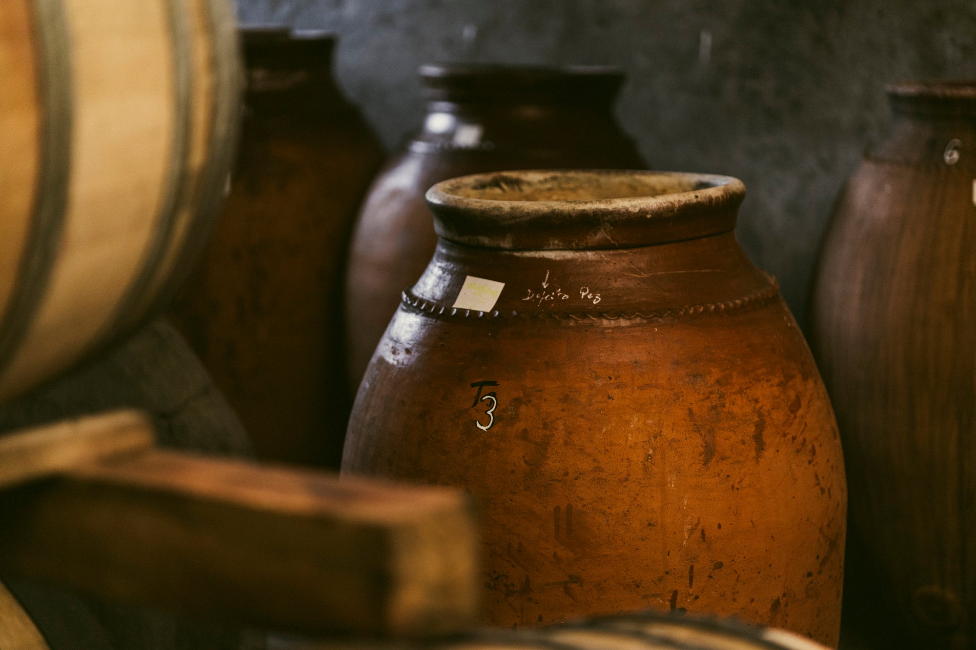 VIBEYARD ancient amphorae fermentation