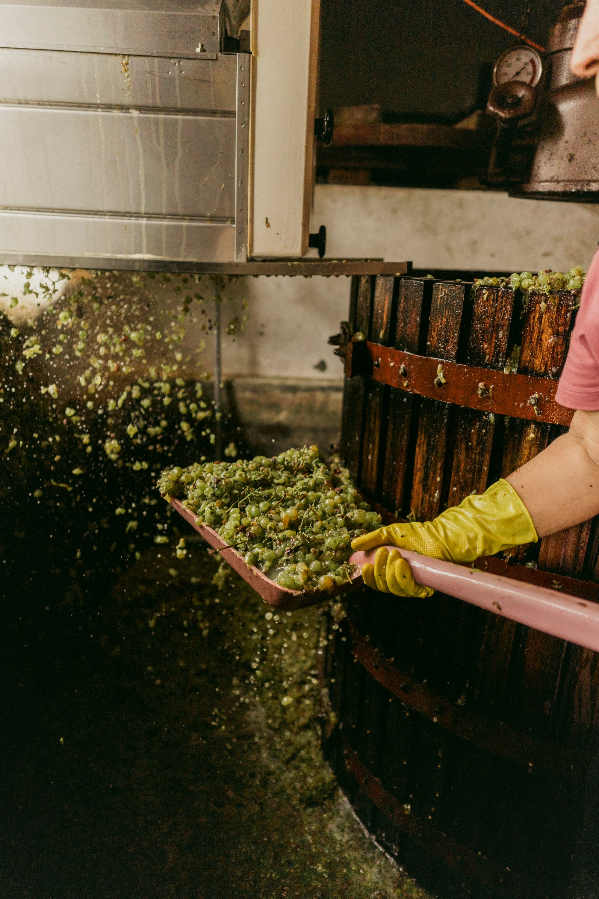 Supporting Local Producers